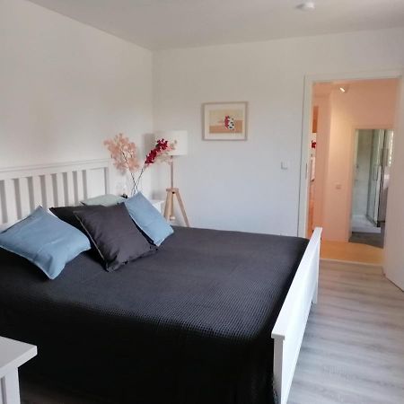 Townhouse Altstadt Wismar Upper Apartment mit zwei Terrassen Exterior foto